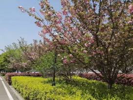 660efcab8f14f51614d39868b9e8125